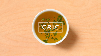 Cric — Brand Identity art direction branding creative direction graphic design illustration logo