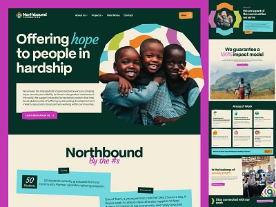 Northbound Foundations Website Design design illustration ui vibrant web design website