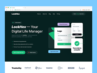 LockHex - Landing Page VPN Service business chart homepage landing page network privacy proxy saas security server vpn vpn service web design website