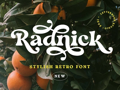 Radnick - Stylish Retro Font 60s font 70s font 80s font classic font fashion groovy instagram font magazine old school font retro font stylish font stylish retro font swash font vintage font vintage serif