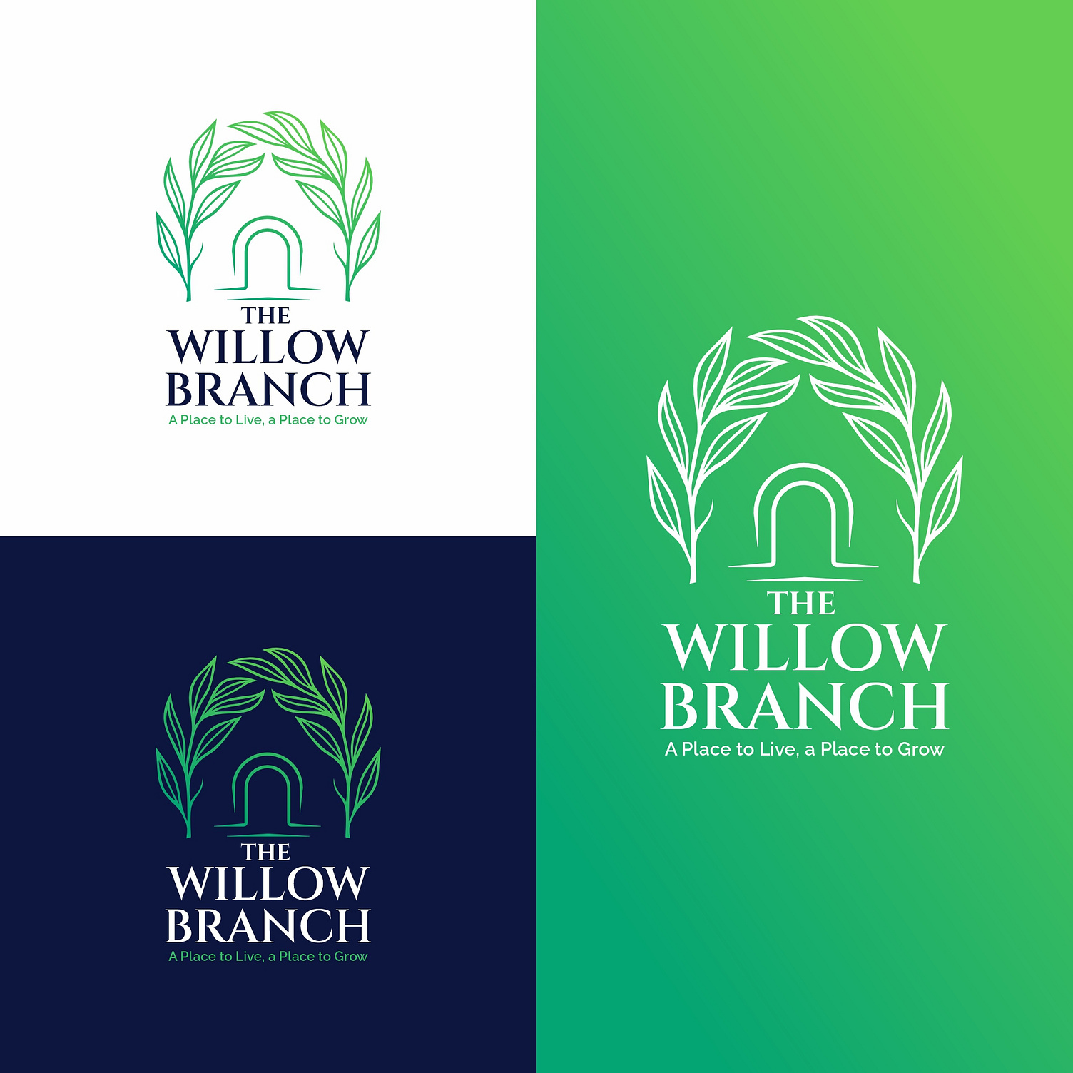 The Willow Branch By Alhanan Creative On Dribbble