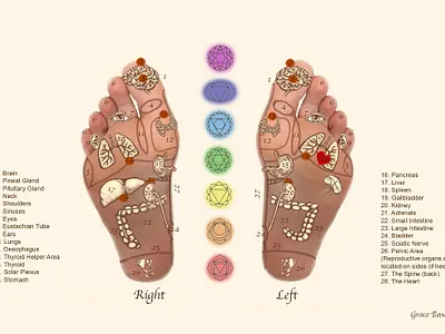 Reflexology Footmap art branding design design diagram diagram feet foot footmap graphic design illustration photoshop reflexology