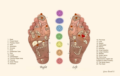 Reflexology Footmap art branding design design diagram diagram feet foot footmap graphic design illustration photoshop reflexology