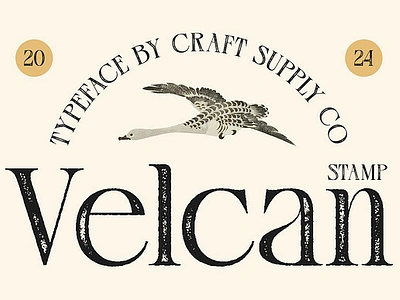 Velcan Stamp branding classic creative editorial elegant fashion font headline logo magazine retro rustic stamp timeless title typeface typography versatile vintage website