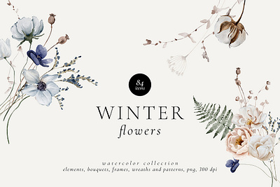 Winter Flowers Watercolor Set berries blossom botanical botany cotton dried flowers eucalyptus fern floral flower foliage herb illustration natural nature plant poppy pods rose winter winter plant