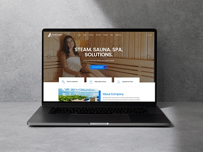 Steam Sauna Website ui ux website wordpress