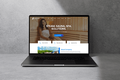 Steam Sauna Website ui ux website wordpress