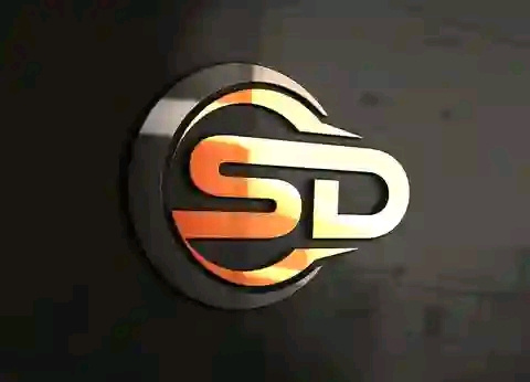 Example of Logo Design 