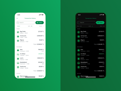 Banking App - Transaction History Light / Dark Modes app bank banking banking app dark mode fintech fintech app light mode mobile app transaction transaction history transactions ui ux