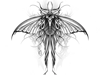 Moth - Tattoo art black and white butterfly butterfly tattoo dark dark art ink line art moth moth tattoo tattoo tattoo idea