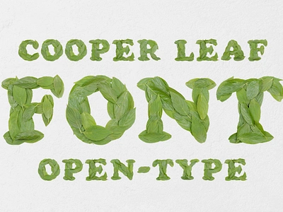 Cooper Leaf Font basil bold branch chop chopped cooper eco ecological ecology environment flora floral foliage forest fresh garden grass green group growth