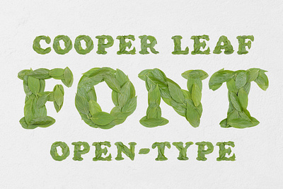 Cooper Leaf Font basil bold branch chop chopped cooper eco ecological ecology environment flora floral foliage forest fresh garden grass green group growth