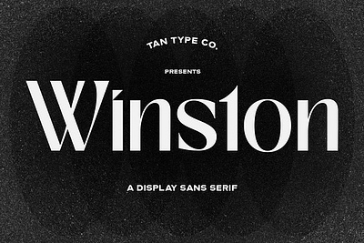 TAN - WINSTON 70s 80s 90s elegant font logo font logo type modern font retro type tan winston vintage font