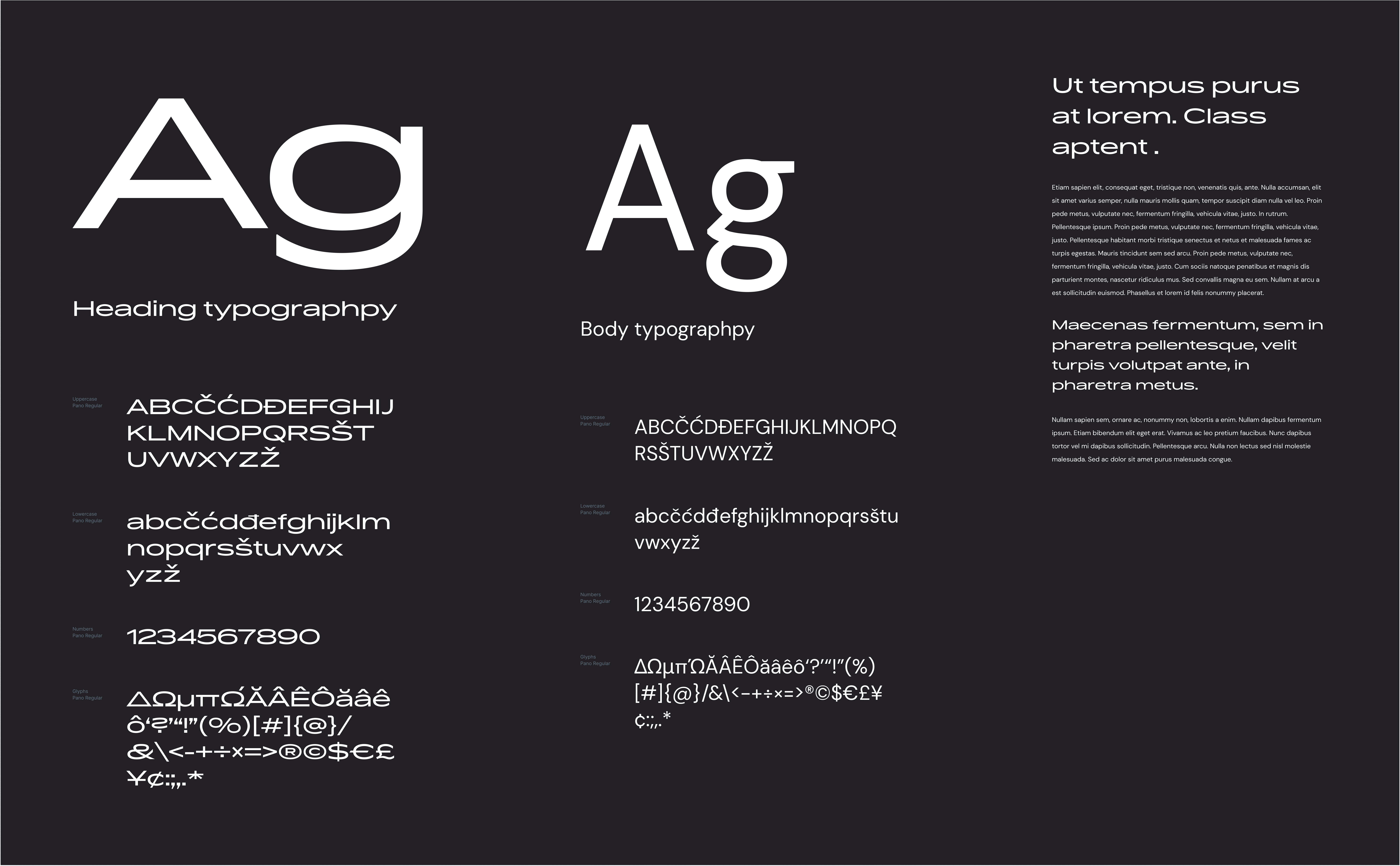 Typographic scale for the project's identity branding identity typographic scale typography