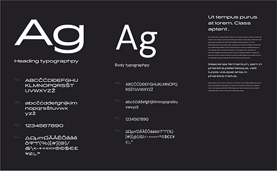 Typographic scale for the project's identity branding identity typographic scale typography