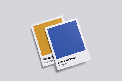 Pantone Color Mockup Bundle Set - Rielismee peach