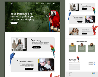 Sing with Macaws Website - Landing Page design landing page singing ui ux website