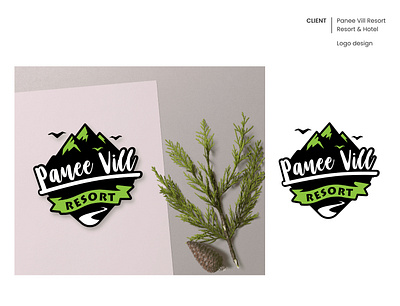 Panee Vill Logo design graphic design logo