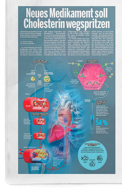 Infographic graphic design infographic