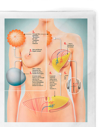 Infographic graphic design infographic