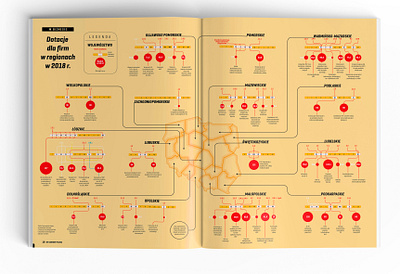 Infographic infographic