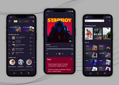 Music Player Application app application design music player player application. ui uiux uiux design ux web design