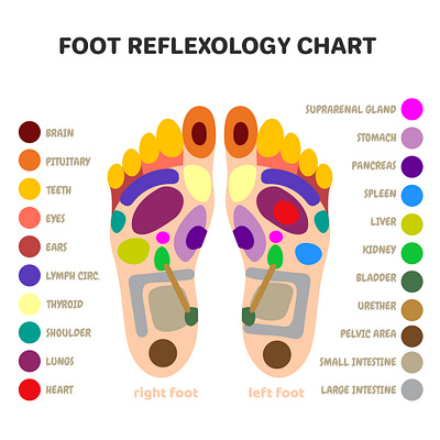 foot reflexology chart relaxation