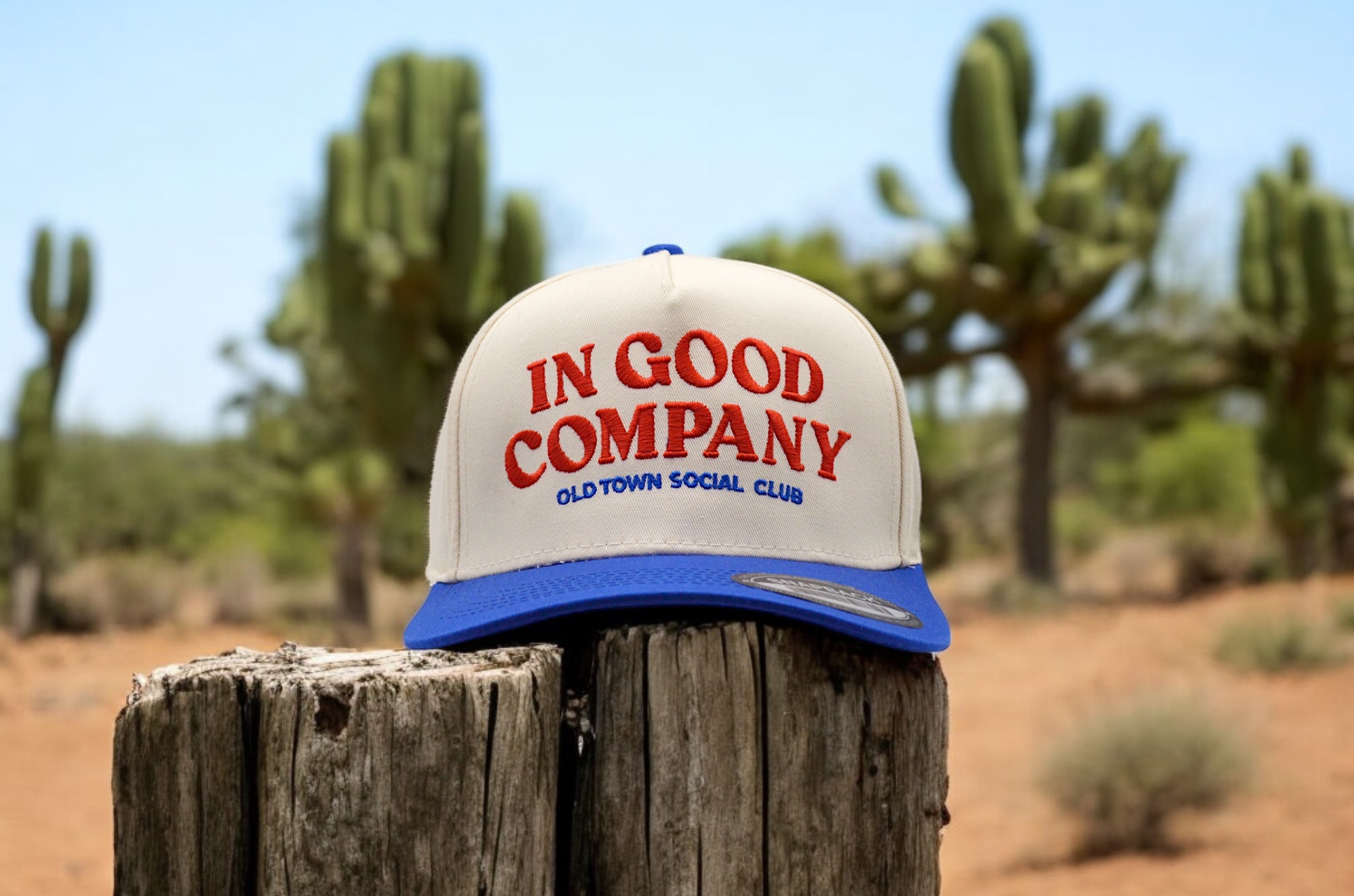 Example of Trend Savvy Graphic & Product Designer