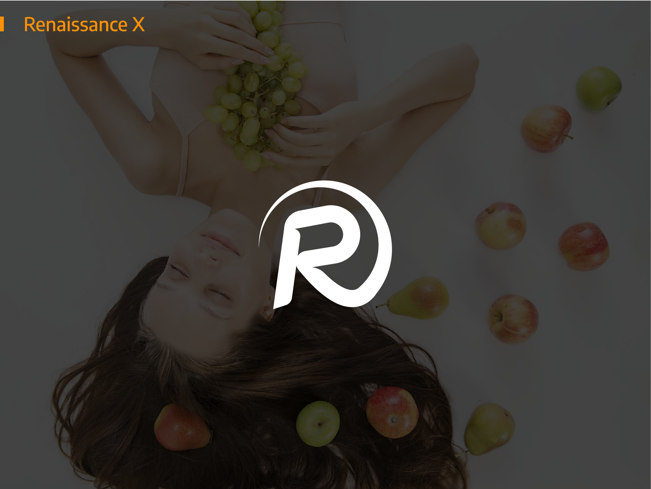 Example of Premium Logo Design 12 Years Experience