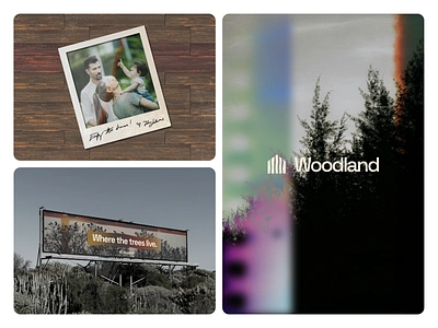 Woodland Visual Identity bilboard brand identity branding branding and identity camera design dribbble film forest graphic design identity logo logo design marketing modern photo photograph polaroid trees visual identity