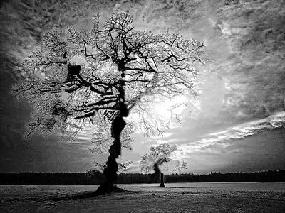 Disturbance in the reality of a tree digital art distorted glitched illustration landscape monochrome tree