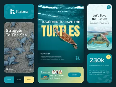 Kaiona - Turtle Conservation Branding Exploration bento brand branding identity illustration logo process shape turtle ui