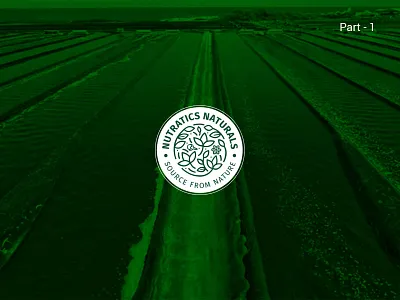 MindzMap | Nutratics Naturals | Corporate Identity branding graphic design logo