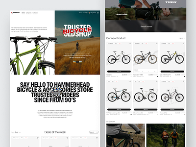 E-Commerce Bicycle Shop Websites app bicycle bike bike shop design e commerce ecommerce ecommerce website landing page landingpage market online shop shop shopify store ui ux web app website website design