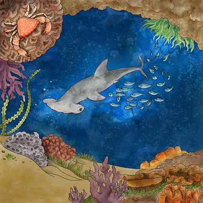 Here comes the shark art background illustration