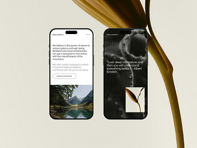 Spa website concept 01 art direction design digital design figma graphic design layout mobile typography ui ux uxui visual design web web design webdesign website wellness