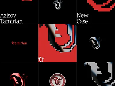 Personal branding branding design graphic design illustration logo redesign ui uiux vector