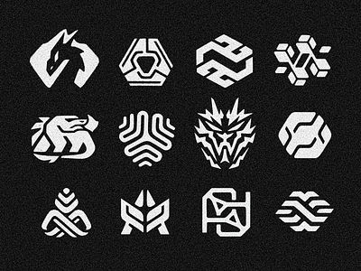 12 (extra) dragon ideas for a logo project animal branding draco dragon dual duality illustration lizard logo logodesign logotype r reptile simmetry sketch sketching snake tech logo tecnology twin