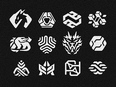 12 (extra) dragon ideas for a logo project animal branding draco dragon dual duality illustration lizard logo logodesign logotype r reptile simmetry sketch sketching snake tech logo tecnology twin