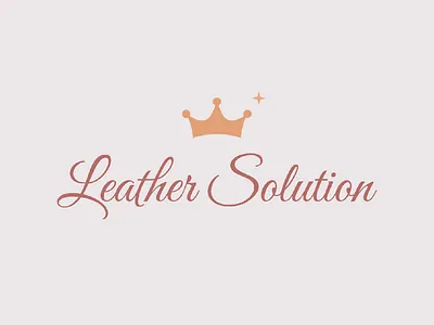 work project (1) - logo and sticker design for Leather Solution aesthetic brand branding design graphic design illustration logo