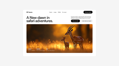 Safari hero header adventure clean header hero nature safari ui design white