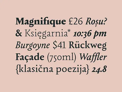 Renatus branding font graphic design typography