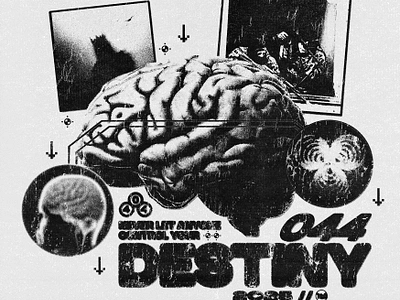 Grunge steetwear print "Destiny" 2025* 2025 3d blurred brain branding design destiny graphic design grunge illustration noise print streetwear t shirt