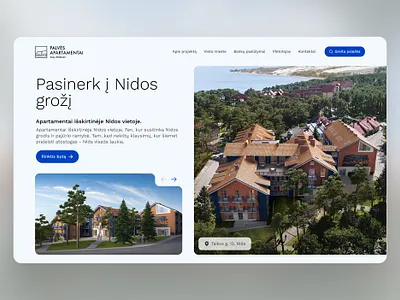 Palvės Apartamentai - Nida Website Design graphic design ui web design