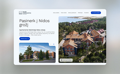 Palvės Apartamentai - Nida Website Design graphic design ui web design