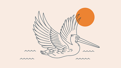 Pelican Illustration ale beach beer bird brand brand assets branding brewery design drawing graphic design illustration illustrator logo orange pelican vector