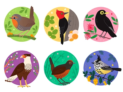 Birds of Southern Chile birds cachudito carancho carpintero chile chilean chucao crested caracara cute diguenes huedhued illustration michay notro runrun selva valdiviana traro valdivian vector woodpecker