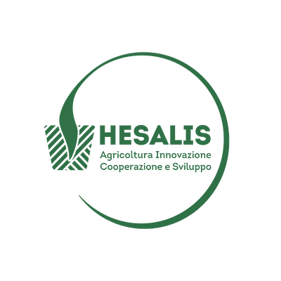 Hesalis Projects branding graphic design product design