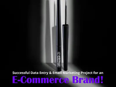 A Successful Data Entry and Email Marketing Project for an E-Com designer digital marketer graphic design logo new new logodesigner
