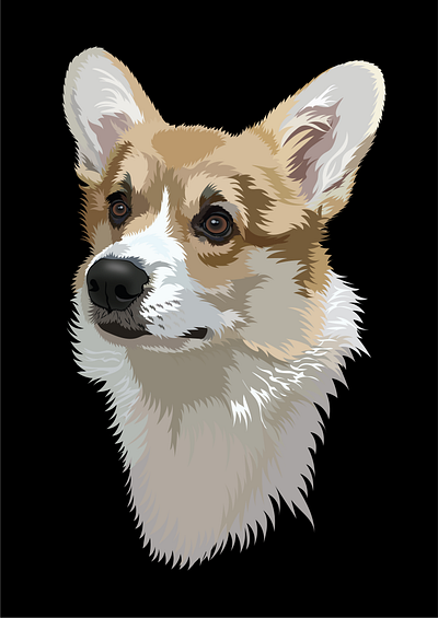 Eva animal animal illustration corgi digitalart dog dog portrait graphic design illustration pet art portrait vector